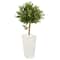 4ft. UV Resistant Olive Topiary Artificial Tree in White Planter